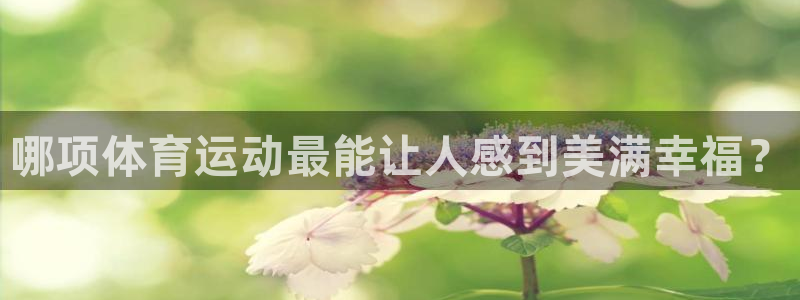 哪项体育运动最能让人感到美满幸福？
