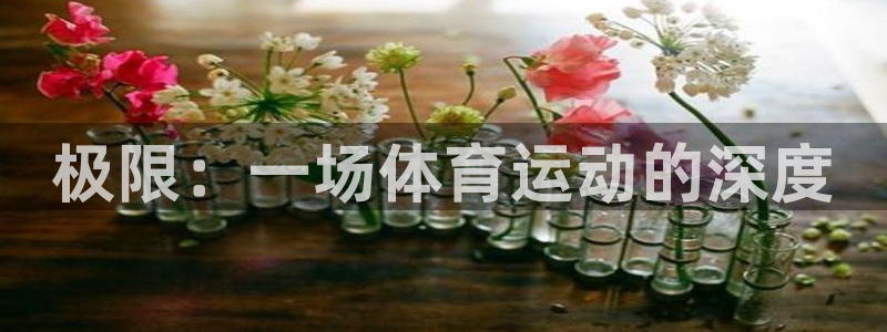 极限：一场体育运动的深度