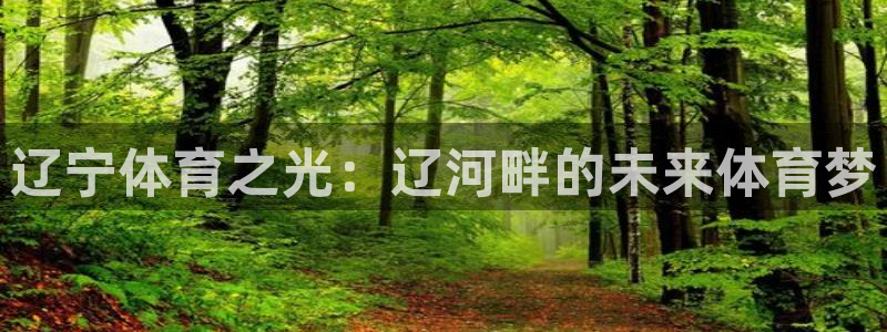辽宁体育之光：辽河畔的未来体育梦