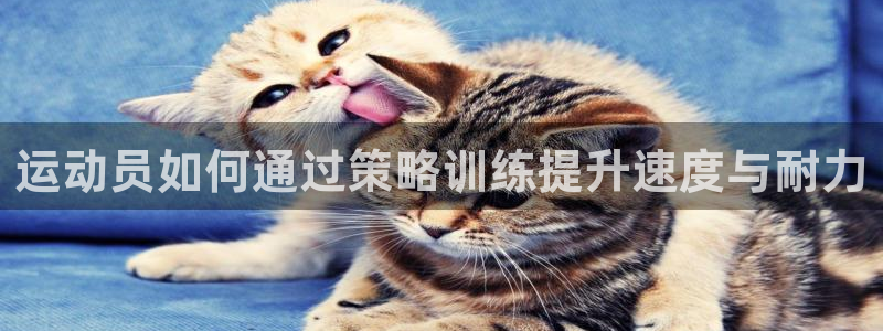 运动员如何通过策略训练提升速度与耐力