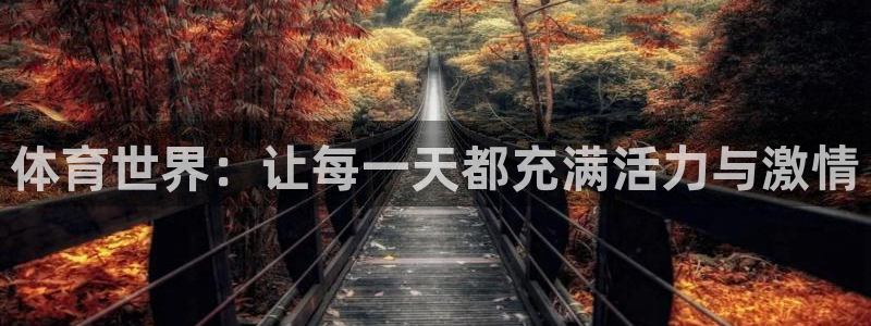 体育世界：让每一天都充满活力与激情